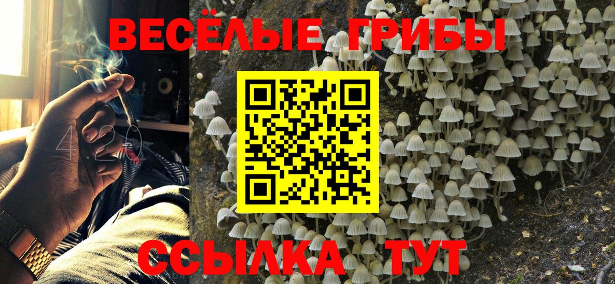 Галлюциногенные грибы Psilocybine cubensis  Галлюциногенные грибы Cubensis  Вход с VPN  Томск 